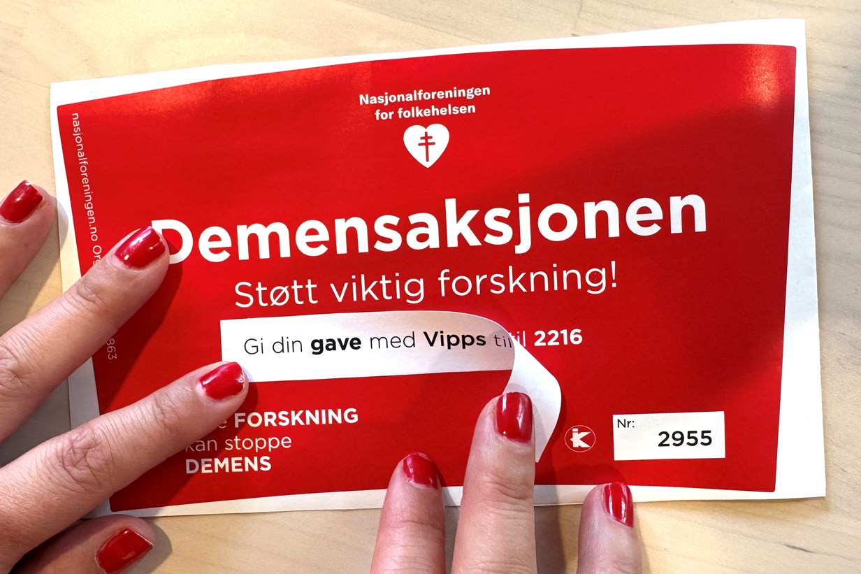 Bøsseaksjon